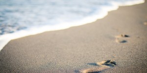 Beitragsbild des Blogbeitrags Happy Holidays