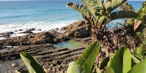 Beitragsbild des Blogbeitrags Wild Coast
