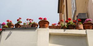 Beitragsbild des Blogbeitrags Triest