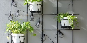 Beitragsbild des Blogbeitrags DIY – Pflanzengitter für Garten & Balkon