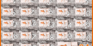 Beitragsbild des Blogbeitrags Ideen zum Adventskalender selber befüllen