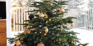 Beitragsbild des Blogbeitrags Meine Winter To Do Liste.