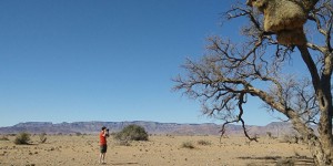 Beitragsbild des Blogbeitrags Ist ein Revival von Flickr möglich?