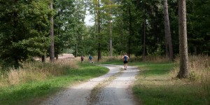 Beitragsbild des Blogbeitrags Wandern in Gars am Kamp
