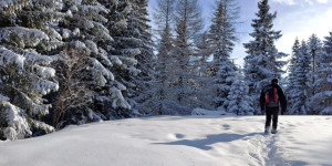 Beitragsbild des Blogbeitrags Wanderungen
