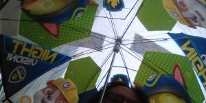 Beitragsbild des Blogbeitrags daham #73: es regnet
