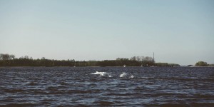 Beitragsbild des Blogbeitrags At Sea Restaurant and Motorboat Tour – Flevoland, Holland