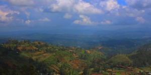 Beitragsbild des Blogbeitrags A Three-wheeled Social Business: Tuktuk Rental (Sri Lanka)