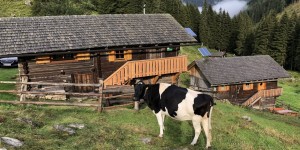 Beitragsbild des Blogbeitrags Back to Nature – off to Austrian Mountain Chalet
