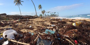 Beitragsbild des Blogbeitrags 4Ocean – travel accessories for ocean saviors 