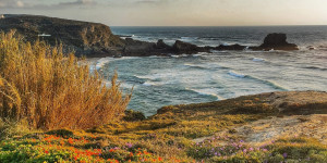 Beitragsbild des Blogbeitrags Road trip – Portugal – Hotels regions Beja/Faro