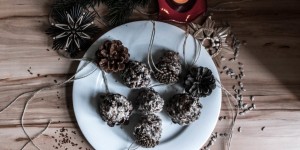 Beitragsbild des Blogbeitrags DIY Vogelfutter – die Wintersurvival Hilfe