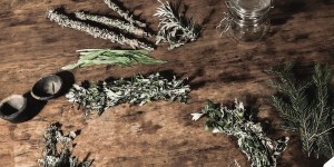Beitragsbild des Blogbeitrags SAMMELETHIK – DANKBARKEIT BEIM PFLANZEN SAMMELN