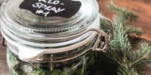 Beitragsbild des Blogbeitrags DIY Klospray