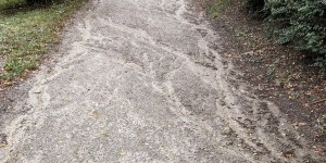 Beitragsbild des Blogbeitrags Viele Wege & individuelle Möglichkeiten