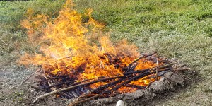 Beitragsbild des Blogbeitrags Vision & Sinn – vom Funken zum beständigen Feuer