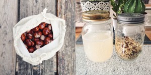 Beitragsbild des Blogbeitrags WASCHMITTEL AUS KASTANIEN HERSTELLEN – SO GEHT’S!