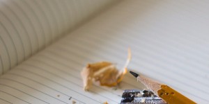 Beitragsbild des Blogbeitrags Ekno – Textideen finden