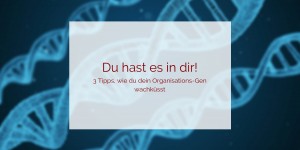 Beitragsbild des Blogbeitrags 3 Tipps, wie du dein Organisations-Gen wachküsst
