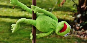 Beitragsbild des Blogbeitrags Polelove