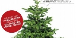 Beitragsbild des Blogbeitrags Weihnachtsbäume ab 15 € direkt kostenlos nach Hause geliefert 
