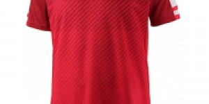 Beitragsbild des Blogbeitrags Österreich EM-Trikot um 59,95 € oder kostenlos bei SportScheck.at 