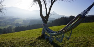 Beitragsbild des Blogbeitrags Testbericht - Tropilex