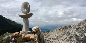 Beitragsbild des Blogbeitrags Wandern mit Hund: Der Nockstein 1042m 