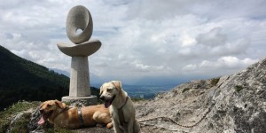 Beitragsbild des Blogbeitrags Wandern mit Hund: Der Nockstein 1042m