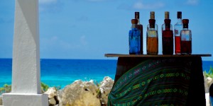 Beitragsbild des Blogbeitrags Cozumel – Tequila und weißer Strand 