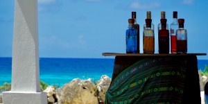 Beitragsbild des Blogbeitrags Cozumel – Tequila und weißer Strand