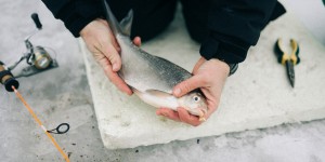 Beitragsbild des Blogbeitrags Eisfischen mit dem SIGMA 50mm F1,4 DG HSM | Art