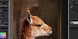 Beitragsbild des Blogbeitrags Sigma Photo Pro 6.6 ausprobiert