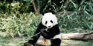 Beitragsbild des Blogbeitrags Schönbrunn mit dem SIGMA 135mm