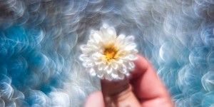 Beitragsbild des Blogbeitrags Was passiert wenn man eine Linse im Objektiv umdreht?