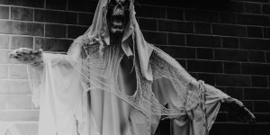 Beitragsbild des Blogbeitrags Halloween im Big Apple