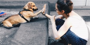 Beitragsbild des Blogbeitrags 6 Dinge, die mir mein Hund beigebracht hat.