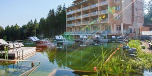 Beitragsbild des Blogbeitrags Steiermark – 4*S Almwellness Hotel Pierer