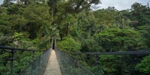 Beitragsbild des Blogbeitrags Costa Rica Rundreise