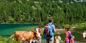 Beitragsbild des Blogbeitrags Tauplitz – Hotel Schwaiger