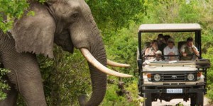 Beitragsbild des Blogbeitrags Kenia Safari & Strand