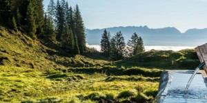 Beitragsbild des Blogbeitrags Avenida Mountain Lodges Saalbach 