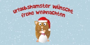 Beitragsbild des Blogbeitrags Frohe Weihnachten & ein frohes Fest 