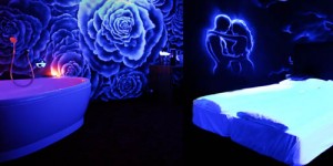 Beitragsbild des Blogbeitrags Kuschelhotel Zeman bei Wien
