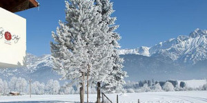 Beitragsbild des Blogbeitrags Vitalhotel Saliter Hof