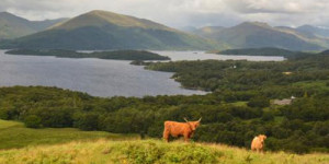 Beitragsbild des Blogbeitrags Schottland Rundreise