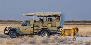 Beitragsbild des Blogbeitrags Namibia Rundreise