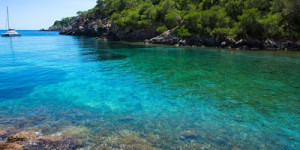 Beitragsbild des Blogbeitrags Ibiza Urlaub 