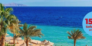 Beitragsbild des Blogbeitrags Holidaycheck Gutschein