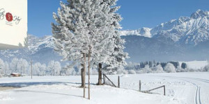 Beitragsbild des Blogbeitrags Vitalhotel Saliter Hof